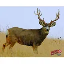 DURAMESH X-LARGE BIG GAME TARGET WHITETAIL - Duramesh