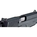 XS SIGHTS SET PRO EXP BIG DOT NIGHT SGHT - Xs Sights
