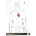 ACTION TARGET Fieldcraft Survival Double Sided Training Target M - Action Target