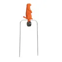 CHAMPION SINGLE VARMINT ORG 5.5" - Champion
