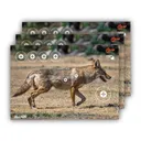 ALLEN EZ Aim Splash Non-Adhesive 16.5X24 Coyote, 3 Pack - Allen Company