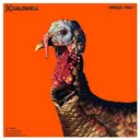 CALDWELL Orange Peel Self-Adhesive 12 Turkey Target 5 Pack - Caldwell