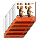 ALLEN EZ Aim 8X8 Prairie Dog 12 Pack - Allen