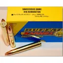 BUFFALO BORE 416 Rem Mag 400Gr Barnes TSX 2450FPS 20rd - Buffalo Bore