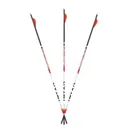 CARBON EXPRESS Maxima Triad XSD 300 6pk Arrows - Carbon Express