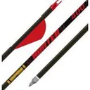 GOLD TIP Hunter 300 2" Raptor Vanes - 1/2dz - Gold Tip