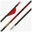 GOLD TIP Kinetic 340 2" Raptor Vanes - 1/2dz - Gold Tip Arrows