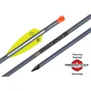 TENPOINT Omni-Brite 2.0 Lighted 2219 Alum Arrows 20" 451Gr - TenPoint