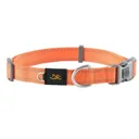 BROWNING Collars Classic Web Sm 5/8 X 10-16" Safety Orange - Browning