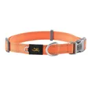 BROWNING Collars Classic Webbing Med 1X14-20" Safety Orange - Browning