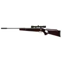 BEEMAN Ram -XT Air Rifle Combo w/ 4x32 scope - Beeman