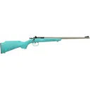 KEYSTONE Crickett Gen2 22 LR Blue Syn Gold Web SS - Keystone