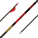 GOLD TIP Hunter - 500 - 2" Raptor Vanes - Gold Tip