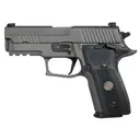 SIG SAUER P229 Legion 9mm 3.9" 10rd Pistol w/ XRAY3 Night Sights | Legion Grey - Sig Sauer