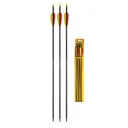 DAISY AIRGUNS 26" Youth Target Arrows 3 pack - Daisy