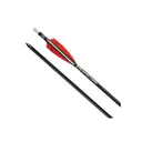 TENPOINT EVO-X CenterPunch Carbon Arrows 20" w/ Alpha-Noc - TenPoint