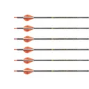 VICTORY ARCHERY RIP TKO 250 Elite 6pk - Victory Archery