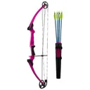 GENESIS ARCHERY 17 Genesis Kit Purple Right Hand - Genesis