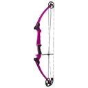 GENESIS ARCHERY 17 Genesis Bow Purple Left Hand - Genesis