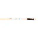 GOLD TIP Traditional XT - 340 - 5" Barred Feathers 1/2dz - Gold Tip