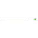 GOLD TIP Warrior - 340 - 2" Raptor Vanes - Gold Tip
