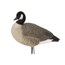 BANDED HS Canada Goose Decoys - Harvesters 6 Pack - Greenhead Gear