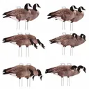 AVERY PG Canada Goose Silhouette Decoys - 12 Pack - Avery Outdoors