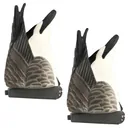 BANDED PG Butt-Up Canada Goose Decoys - 2 Pack - Banded