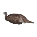 FLEXTONE Thunder Chick Breeder - Flextone