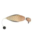 ASD SPORTING DOG EZ Bird Mourning Dove - Asd Sporting Dog