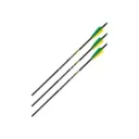 ALLEN CX600 22" Crossbow Bolt, 3Pk .006 - Allen Company