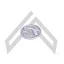 LEGION COIN 229 SAO - Sig Sauer