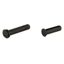 Radian Takedown / Pivot Pin Set - Black Rifle Depot