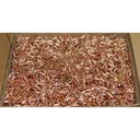 Hornady Traditional Rifle Bullets .22 cal .224" 55 gr HP 6000/ct BULK - Hornady