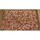 Hornady Traditional Varmint Bullets .22 cal .224" 55 gr SP CANN 6000/ct - Hornady