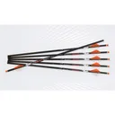 Ravin Premium Arrows (match weight) 500 grain HD .001 6PK - Ravin-Crossbows