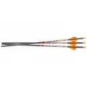Ravin Match Grade Premium Lighted Bolts 400 gr .001 3/ct - Ravin-Crossbows