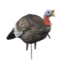 Higdon Outdoors Hard Body 1/4 Strut Jake - Higdon Outdoors