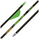 Gold Tip Hunter XT 300 2in Raptor Vanes - 1/2dz - Gold-Tip