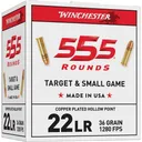 Winchester .22 LR Bulk Pack Rimfire Ammunition .22 LR 36 gr CPHP 555/ct - Winchester