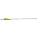 Bear Archery TrueX Crossbow Bolts 1" Diameter 20" 6/pk - Bear-Archery