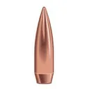 Speer Target Match Rifle Bullets .30 cal .308" 168 gr BTHP 100/ct - Speer