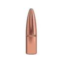 Speer Grand Slam Rifle Bullets 6mm .243" 100 gr GSSP 50/ct - Speer