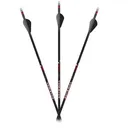 Carbon Express Maxima Sable RZ 500 Hunting Arrows - 12/pk - Carbon-Express
