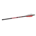 Bloodsport Hunter Crossbow Bolts 22" 300 Spine 6/pk - Bloodsport