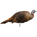 Montana Decoy Co Spring Fling Hen Decoy - Montana-Decoy-Co