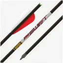 Gold Tip Swift Crossbow Bolt 22in - 4in Duravanes - 1/2dz - Gold-Tip