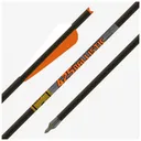 Gold Tip Ballistic Crossbow Bolt 22in - 4in Duravanes - 1/2dz - Gold-Tip