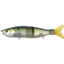 R2S S-Waver 168S I Know It - River2Sea-Usa