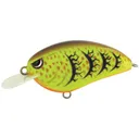Spro Little John 50 Crankbait 2" 1/2 oz Pig Pen - Spro-Baits